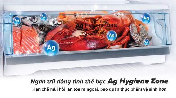 Đánh giá chi tiết tủ lạnh Panasonic Inverter 405 lít NR-TX461GPKV - Khay Ag Hygiene Zone