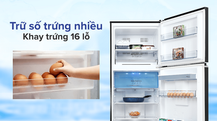 Khay chứa trứng 16 lỗ tiện ích