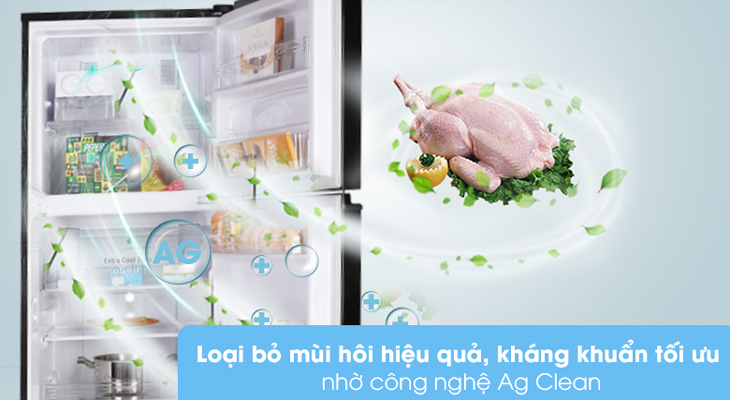 Tủ lạnh Panasonic NR-BL263PKVN - Ag Clean