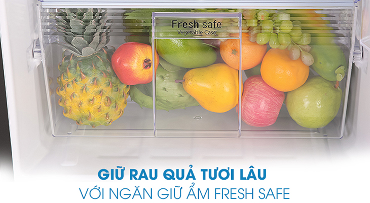 Tủ lạnh Panasonic NR-BL263PKVN - Ngăn rau