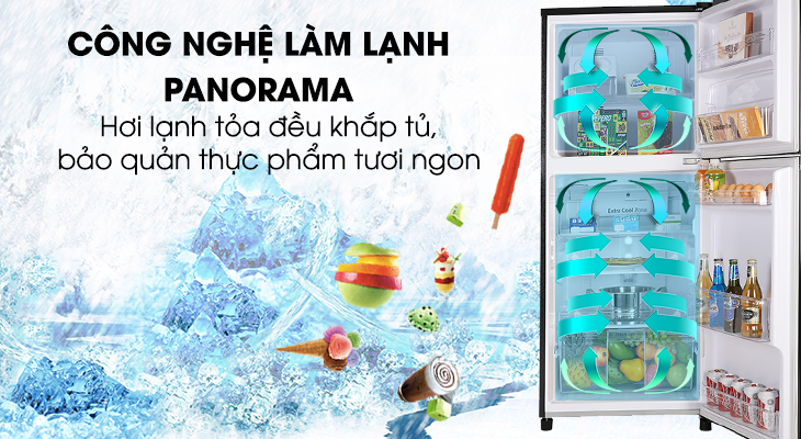Tủ lạnh Panasonic NR-BL263PKVN - Panorama