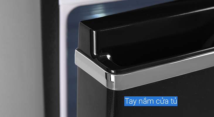 Tủ lạnh Panasonic NR-BL263PKVN - Tay cầm