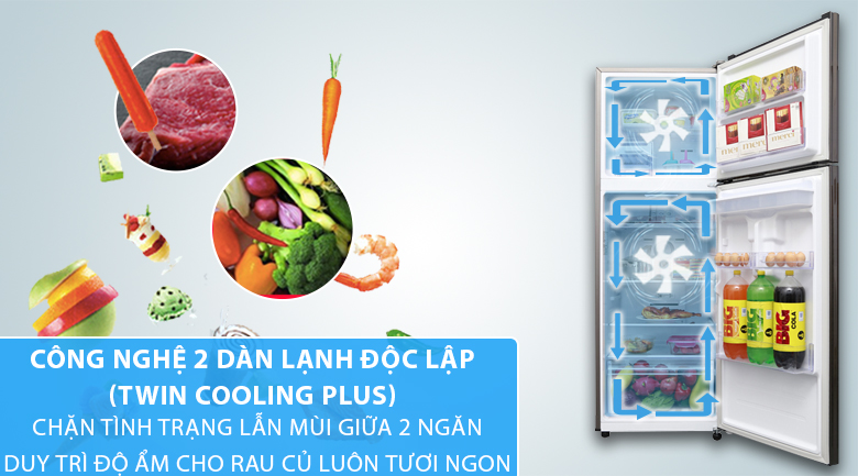 Công nghệ 2 dàn lạnh độc lập Twin Cooling Plus - Tủ lạnh Samsung Inverter 319 lít RT32K5930DX/SV