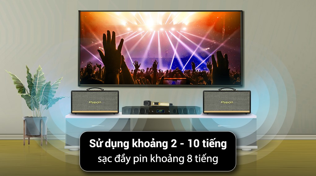 Loa karaoke xách tay PASION 2 400W