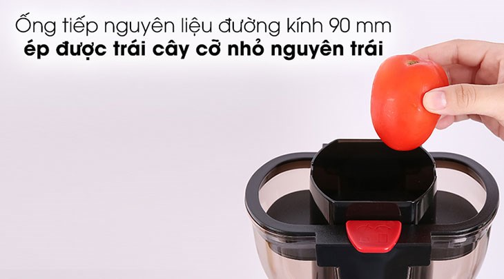 Máy ép chậm Hafele JE230-BL (535.43.531) trang bị ống tiếp nguyên liệu có đường kính tới 90 mm giúp ép trái cây không cần thái nhỏ