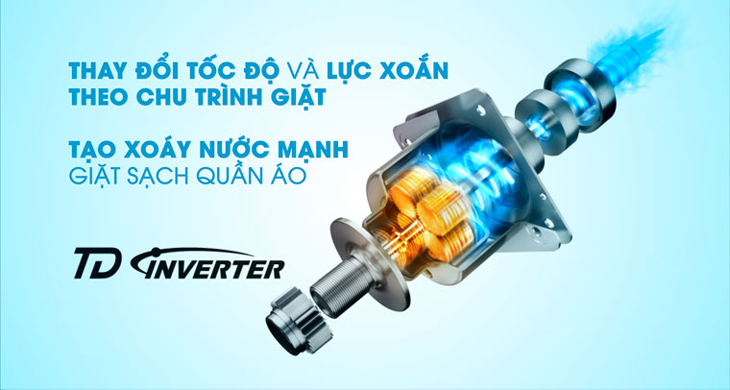 TD Inverter