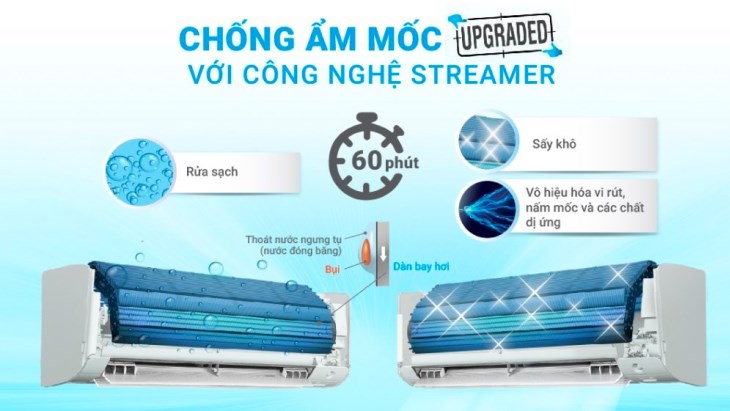 Chống nấm mốc Streamer
