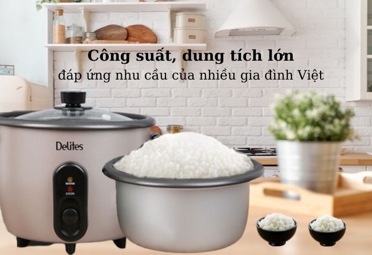 Sản phẩm thông thường có công suất và dung tích lớn đáp ứng được nhu cầu của gia đình nhiều thành viên