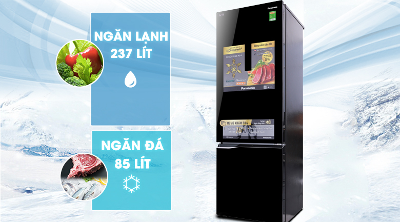 Ngăn đá dưới