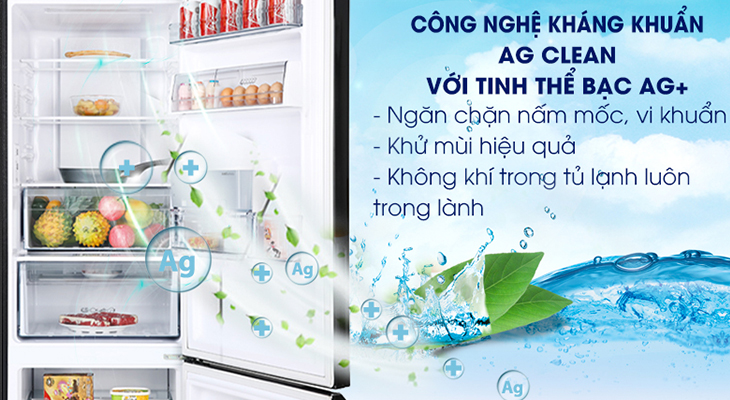Tủ lạnh Panasonic Inverter 322 lít NR-BC360WKVN - Ag Clean