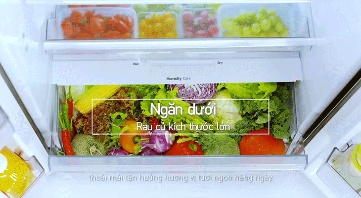 2 ngăn rau của Tủ lạnh Panasonic Inverter 550 lít NR-DZ600GXVN