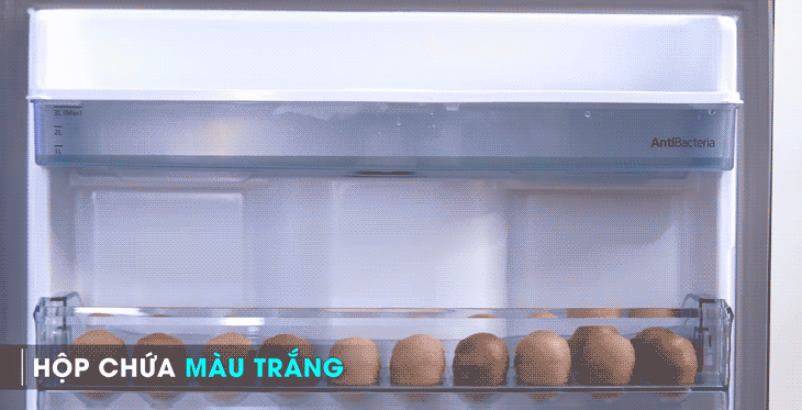 Hộp đựng nước kháng khuẩn