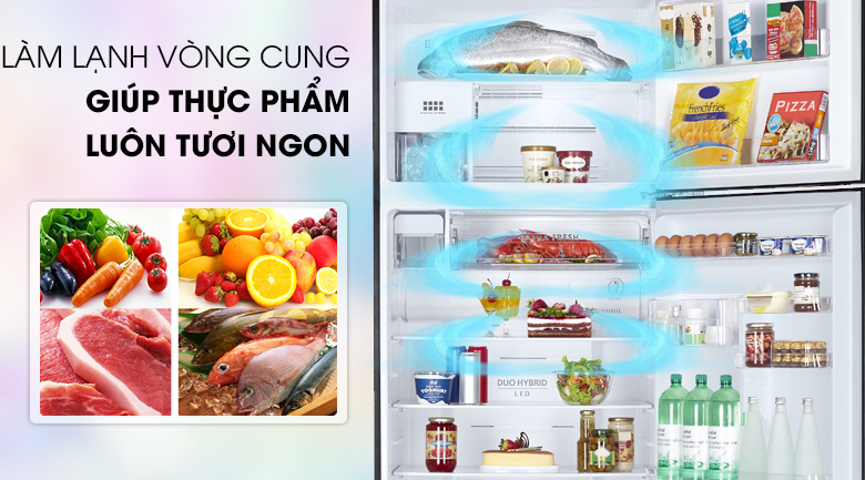 Hệ thống làm lạnh vòng cung giúp giữ tươi ngon thực phẩm