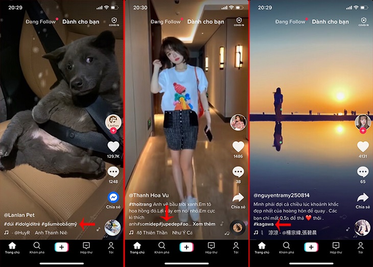 Điều kiện đăng kí dấu tích xanh trên Tik Tok