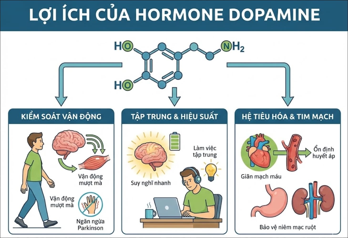 Hormone dopamine mang lại nhiều lợi ích cho tinh thần và cơ thể