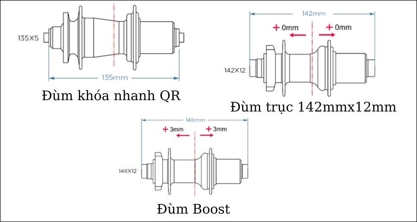 Đùm sau gồm ba loại đùm là khóa nhanh QR, đùm trục 142mmx12mm và đùm Boos