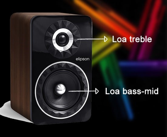 Loa 2 đường tiếng gồm loa bass-mid và loa treble.