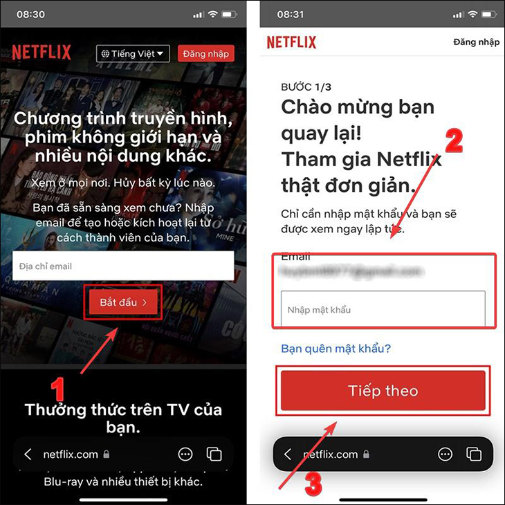 Nhập Email đăng ký và Mật khẩu tài khoản trên giao diện website Netflix