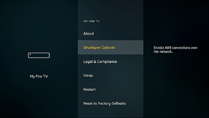 Chọn Developer Options.