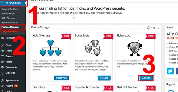 Chọn Feature Manager trong plugin All in One SEO