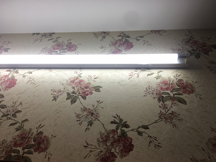 Bật đèn để kiểm tra