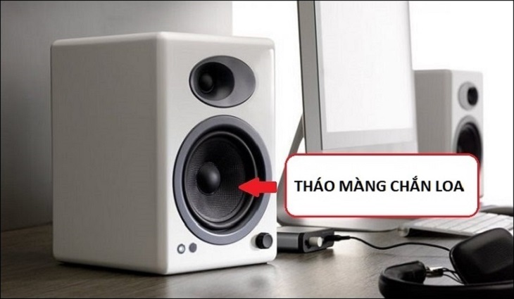 Bạn tách màng chắn ra khỏi loa