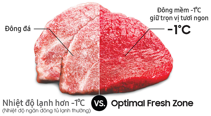 Ngăn cấp đông mềm Optimal Fresh Zone có gì đặc biệt?