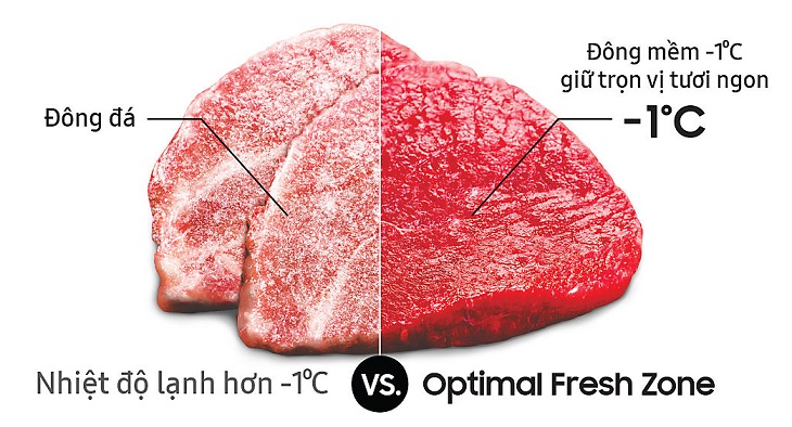 Ngăn chứa có nhiệt độ lý tưởng -1 độ C