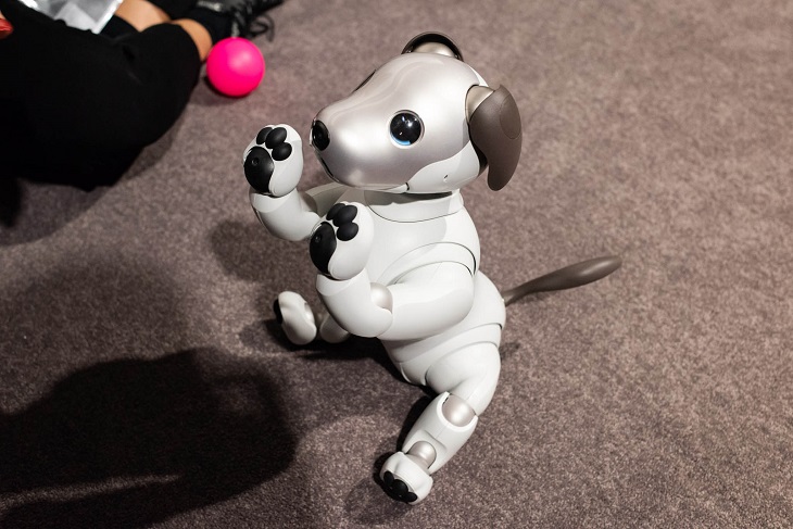 AIBO có những cử chỉ đáng yêu của một chú cún con vô cùng cuốn hút