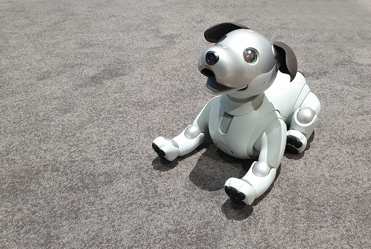 Chú chó AIBO có thể cảm nhận được sự vuốt ve và thể hiện thái độ với chủ nhân