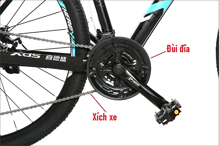 Đùi đĩa là bộ phận có kích thước lớn nhất trong hệ thống truyền lực của xe đạp