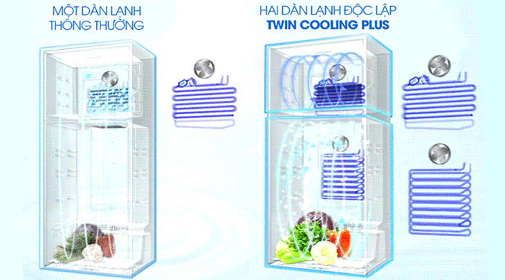Công nghệ hai dàn lạnh Twin Cooling Plus giữ cho thực phẩm tươi ngon tròn vị