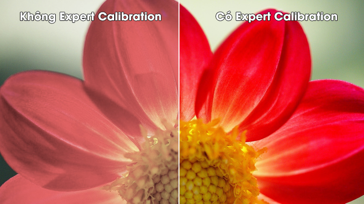Cân chỉnh màu sắc Expert Calibration