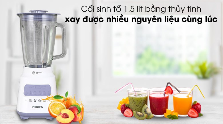 Máy xay sinh tố đa năng Philips HR2222/00