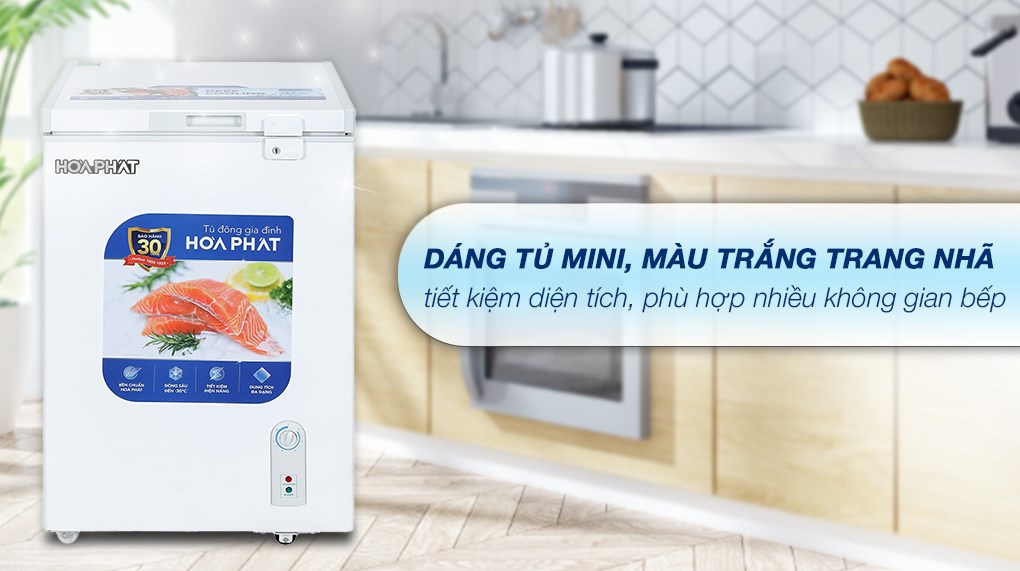 Tủ đông Hòa Phát 107 lít HPF AN6107