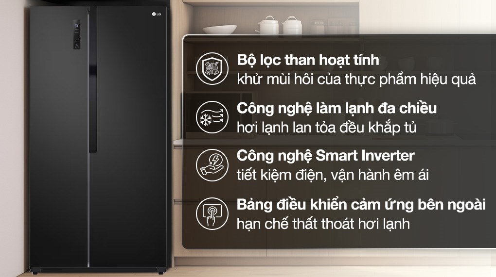 Tủ lạnh LG Inverter 519 lít Side By Side GR-B256BL với bộ lọc khử mùi than hoạt tính giúp loại bỏ mùi hôi tanh thịt cá