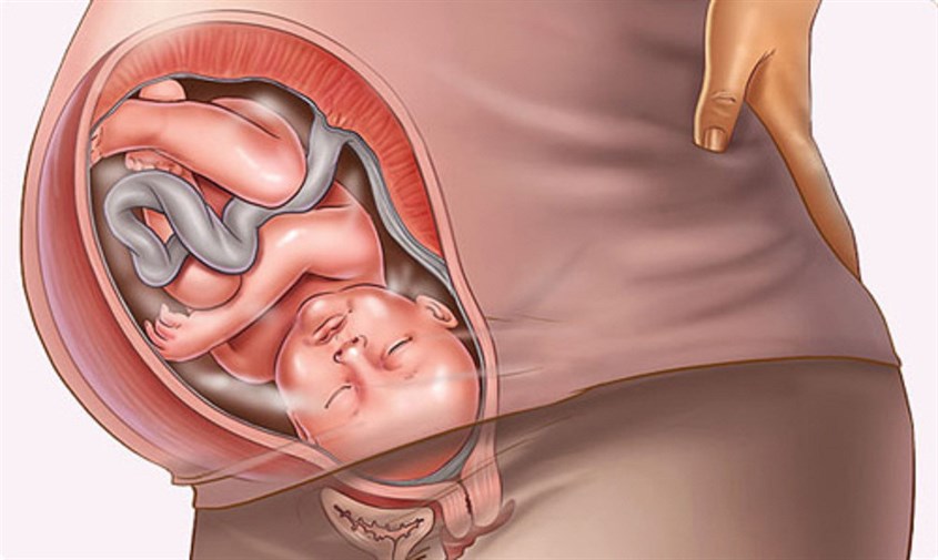 Đi bộ trên máy chạy bộ giúp phụ nữ mang thai vượt cạn ít mất sức hơn