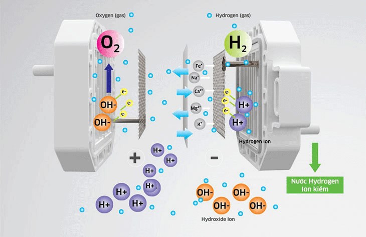 Quá trình điện phân nước tạo thành nước Hydrogen