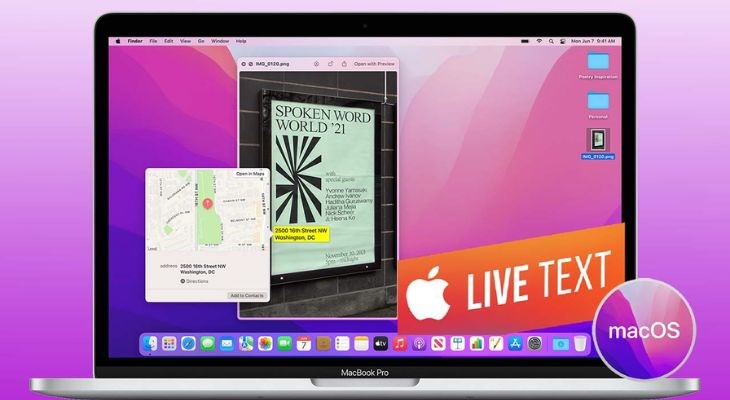 Tính năng Live Text vẫn chưa hỗ trợ Tiếng Việt cho người dùng tại Việt Nam