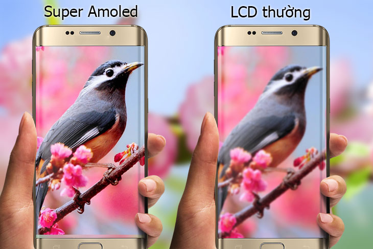 Màu sắc được cải thiện rất tốt trên màn hình Super AMOLED