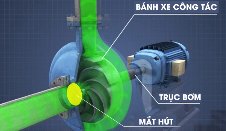 Cấu tạo bên trong của máy bơm nước ly tâm