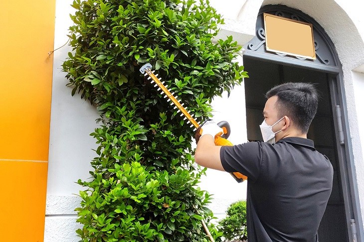 Máy tỉa hàng rào pin Tolsen 87370 20V thuộc kiểu máy cắt cỏ cầm tay với thiết kế nhỏ gọn và khối lượng nhẹ chỉ 2kg