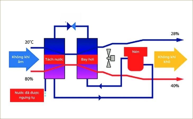 Nguyên lý hoạt động chung của máy hút ẩm