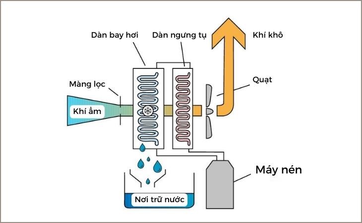 Nguyên lý hoạt động của máy hút ẩm ngưng tụ