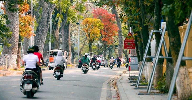 Máy lọc không khí tạo ẩm sẽ giúp bạn giải quyết tình trạng tĩnh điện của khí trời hanh khô
