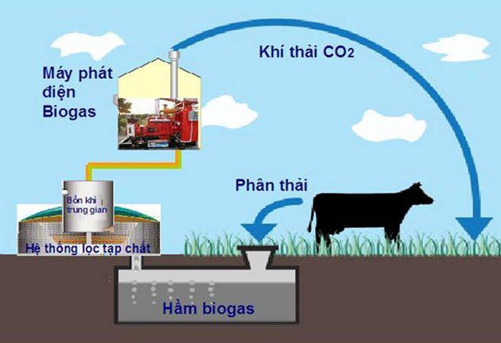 Máy phát điện chạy biogas