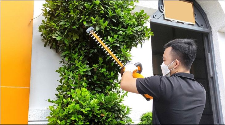 Máy tỉa hàng rào pin Tolsen 87370 20V (không kèm pin, sạc)  đang được kinh doanh tại Điện máy XANH với chính sách bảo hành hợp lý cho khách hàng