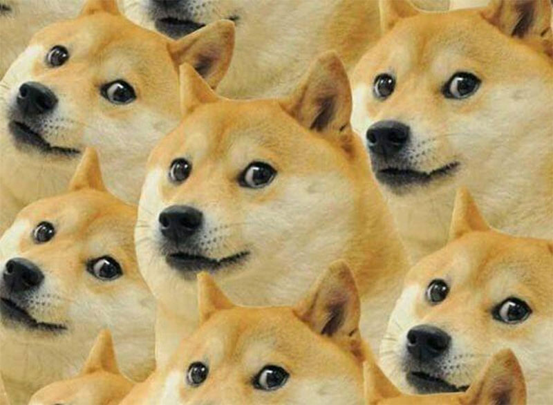 Các meme được giới trẻ yêu thích hiện nay