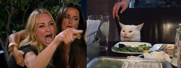 Meme mèo khai thác biểu cảm sang chảnh, xéo xắt hoặc ngơ ngác, mang lại tiếng cười cực duyên