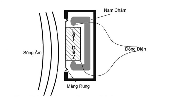 Micro dynamic là gì? Công dụng của Micro dynamic